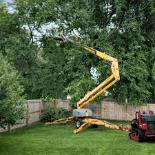 Best Palm Tree Trimming  in Greensburg, IN