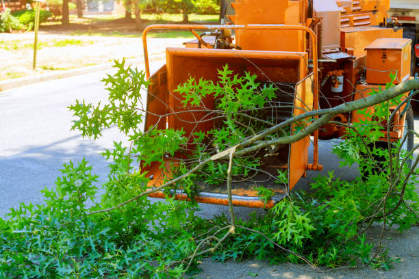 Best Emergency Tree Removal  in Greensburg, IN