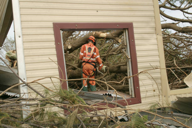 Best Fruit Tree Pruning  in Greensburg, IN